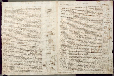 Wissenschaftliche Diagramme, aus dem Codex Leicester, 1508-12